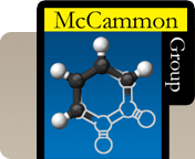 McCammon Group